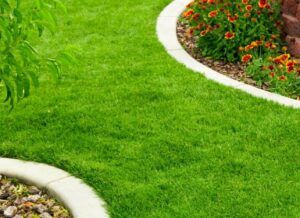 Gazon synthétique, Cori'Green, Udirev, Lorentz à Sézanne dans la Marne